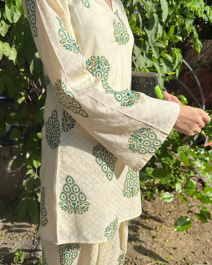 Tehzeeb co-ord Set